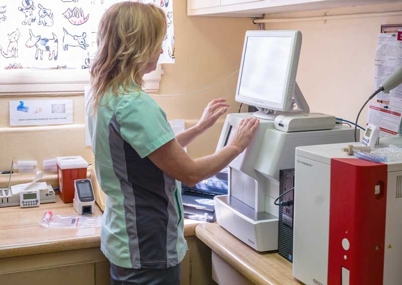 Carousel Slide 4: Pet diagnostic care